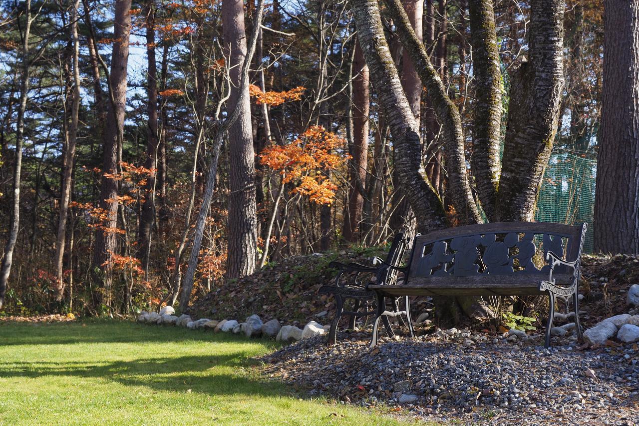 Avanti Chalet Hakuba Exteriér fotografie